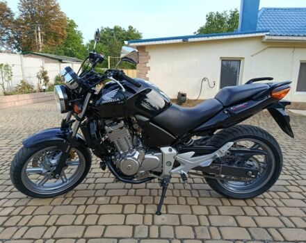 Хонда CBF 500, объемом двигателя 0.5 л и пробегом 0 тыс. км за 3700 $, фото 1 на Automoto.ua