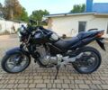 Хонда CBF 500, объемом двигателя 0.5 л и пробегом 0 тыс. км за 3700 $, фото 1 на Automoto.ua