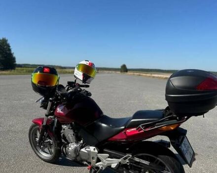 Хонда CBF 500, объемом двигателя 0 л и пробегом 43 тыс. км за 3300 $, фото 3 на Automoto.ua