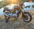 Хонда CBF 500, объемом двигателя 0 л и пробегом 40 тыс. км за 3400 $, фото 1 на Automoto.ua