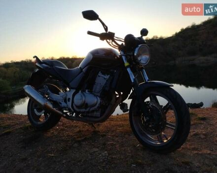 Хонда CBF 500, объемом двигателя 0 л и пробегом 40 тыс. км за 3400 $, фото 3 на Automoto.ua