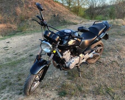 Хонда CBF 500, об'ємом двигуна 0 л та пробігом 40 тис. км за 3400 $, фото 15 на Automoto.ua