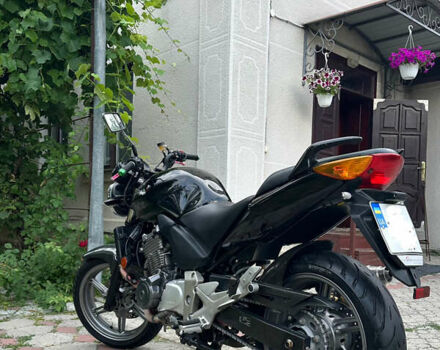 Хонда CBF 500, объемом двигателя 0 л и пробегом 1 тыс. км за 2699 $, фото 2 на Automoto.ua