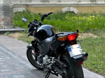 Хонда CBF 500 2006 в Звенигородка на Automoto.ua Хонда CBF 500, объемом двигателя 0 л и пробегом 1 тыс. км за 2699 $, фото 1 на Automoto.ua