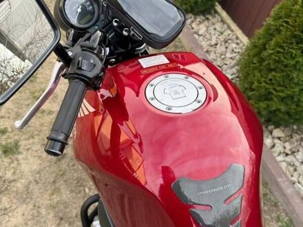 Хонда CBF 500, объемом двигателя 0 л и пробегом 43 тыс. км за 3300 $, фото 1 на Automoto.ua