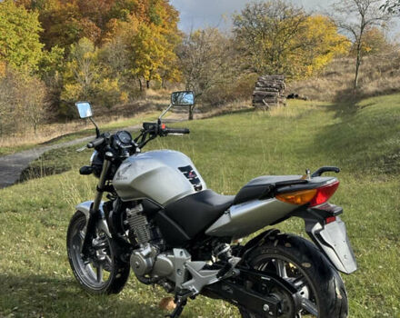 Серый Хонда CBF 500, объемом двигателя 0.5 л и пробегом 28 тыс. км за 3850 $, фото 1 на Automoto.ua