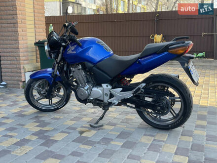 Хонда CBF 500 2004 у Києві на Automoto.ua Синій Хонда CBF 500, об'ємом двигуна 0.5 л та пробігом 64 тис. км за 3400 $, фото 1 на Automoto.ua