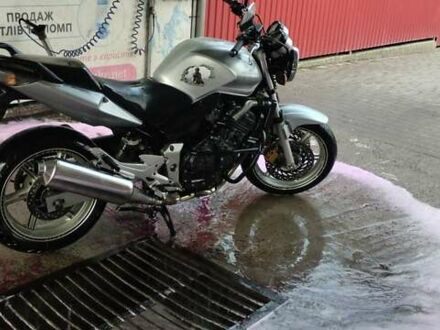 Хонда CBF 600 2006 у Бродах на Automoto.ua Сірий Хонда CBF 600, об'ємом двигуна 0.6 л та пробігом 28 тис. км за 4200 $, фото 1 на Automoto.ua