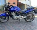 Хонда ЦБФ, объемом двигателя 0.5 л и пробегом 0 тыс. км за 3600 $, фото 1 на Automoto.ua
