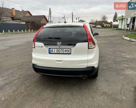 Белый Хонда СРВ, объемом двигателя 2.36 л и пробегом 124 тыс. км за 15200 $, фото 1 на Automoto.ua