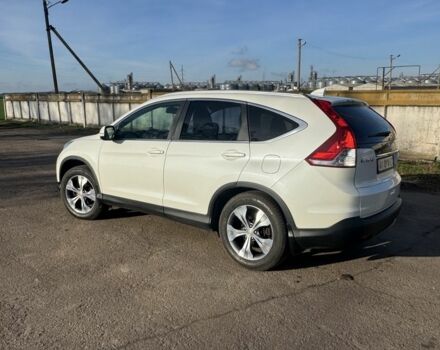 Белый Хонда СРВ, объемом двигателя 2.4 л и пробегом 179 тыс. км за 15900 $, фото 3 на Automoto.ua