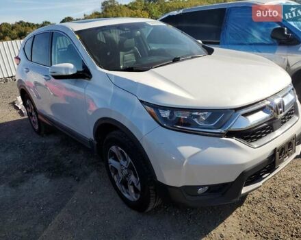 Хонда СРВ 2019 в Житомире на Automoto.ua Белый Хонда СРВ, объемом двигателя 1.5 л и пробегом 116 тыс. км за 8500 $, фото 1 на Automoto.ua