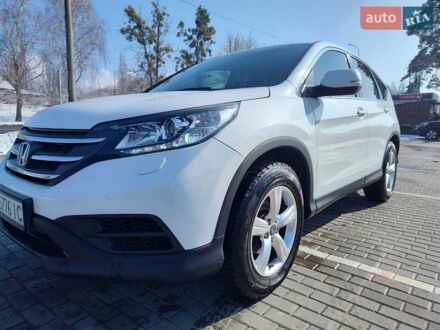 Хонда СРВ 2013 в Ровно на Automoto.ua Белый Хонда СРВ, объемом двигателя 1.6 л и пробегом 212 тыс. км за 14400 $, фото 1 на Automoto.ua