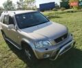 Бежевий Хонда СРВ, об'ємом двигуна 1.6 л та пробігом 355 тис. км за 5000 $, фото 4 на Automoto.ua
