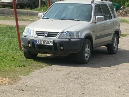 Хонда СРВ 1999 в Полтаве на Automoto.ua Бежевый Хонда СРВ, объемом двигателя 2 л и пробегом 320 тыс. км за 3389 $, фото 1 на Automoto.ua