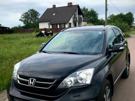 Хонда СРВ 2011 в Дрогобыче на Automoto.ua Черный Хонда СРВ, объемом двигателя 2.2 л и пробегом 235 тыс. км за 14700 $, фото 1 на Automoto.ua