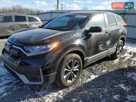 Хонда СРВ 2020 в Ровно на Automoto.ua Черный Хонда СРВ, объемом двигателя 1.5 л и пробегом 87 тыс. км за 8100 $, фото 1 на Automoto.ua