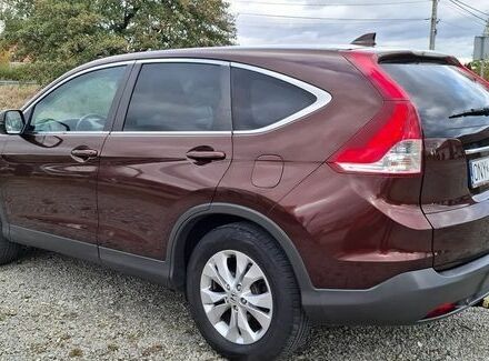 Хонда СРВ 2013 в Киеве на Automoto.ua Коричневый Хонда СРВ, объемом двигателя 2 л и пробегом 100 тыс. км за 8300 $, фото 6 на Automoto.ua