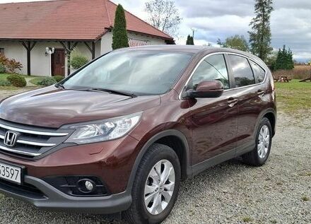 Хонда СРВ 2013 в Киеве на Automoto.ua Коричневый Хонда СРВ, объемом двигателя 2 л и пробегом 100 тыс. км за 8300 $, фото 2 на Automoto.ua