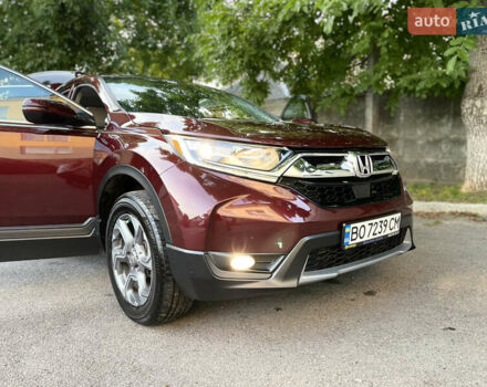Червоний Хонда СРВ, об'ємом двигуна 1.5 л та пробігом 49 тис. км за 24742 $, фото 1 на Automoto.ua