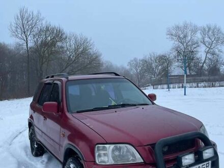 Хонда СРВ 1998 в Миргороде на Automoto.ua Красный Хонда СРВ, объемом двигателя 2 л и пробегом 390 тыс. км за 4300 $, фото 1 на Automoto.ua