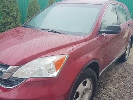 Красный Хонда СРВ, объемом двигателя 2.4 л и пробегом 80 тыс. км за 11900 $, фото 1 на Automoto.ua