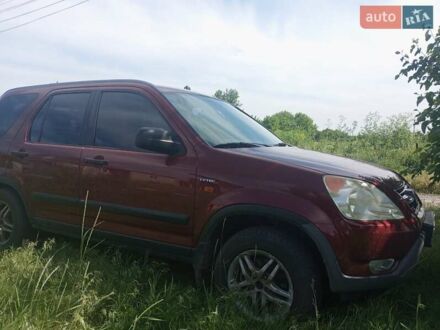 Хонда СРВ 2003 у Першотравенске на Automoto.ua Сірий Хонда СРВ, об'ємом двигуна 2 л та пробігом 270 тис. км за 6200 $, фото 1 на Automoto.ua