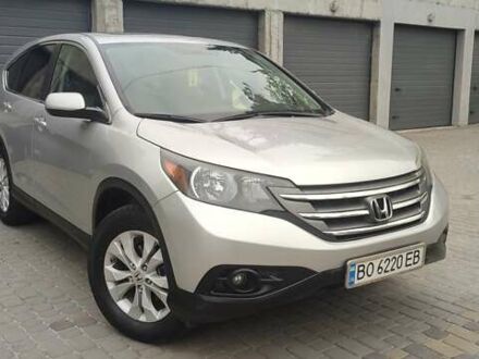 Хонда СРВ 2012 в Тернополе на Automoto.ua Серый Хонда СРВ, объемом двигателя 2.36 л и пробегом 242 тыс. км за 12899 $, фото 1 на Automoto.ua