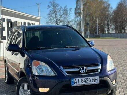 Синій Хонда СРВ, об'ємом двигуна 2 л та пробігом 236 тис. км за 5900 $, фото 1 на Automoto.ua
