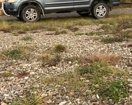 Синий Хонда СРВ, объемом двигателя 0 л и пробегом 325 тыс. км за 6403 $, фото 1 на Automoto.ua