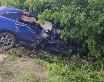 Синий Хонда СРВ, объемом двигателя 2.4 л и пробегом 3 тыс. км за 5000 $, фото 1 на Automoto.ua