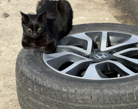 Черный Хонда Цивик, объемом двигателя 1.8 л и пробегом 245 тыс. км за 6800 $, фото 9 на Automoto.ua