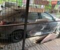 Сірий Хонда Сівік, об'ємом двигуна 1.5 л та пробігом 25 тис. км за 2000 $, фото 1 на Automoto.ua