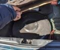 Зелений Хонда Сівік, об'ємом двигуна 1.4 л та пробігом 305 тис. км за 1800 $, фото 12 на Automoto.ua