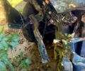 Зелений Хонда Сівік, об'ємом двигуна 1.6 л та пробігом 99 тис. км за 800 $, фото 5 на Automoto.ua