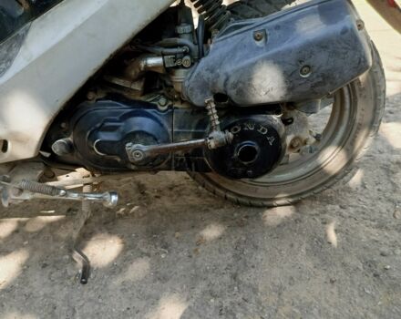 Хонда Діо, об'ємом двигуна 49 л та пробігом 0 тис. км за 298 $, фото 3 на Automoto.ua