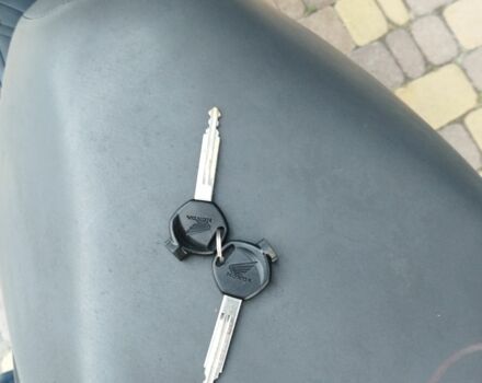 Хонда Діо, об'ємом двигуна 0 л та пробігом 0 тис. км за 750 $, фото 5 на Automoto.ua