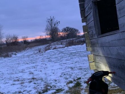 Хонда Діо, об'ємом двигуна 49 л та пробігом 0 тис. км за 255 $, фото 1 на Automoto.ua