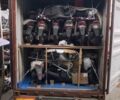 Хонда Другая, объемом двигателя 49 л и пробегом 0 тыс. км за 450 $, фото 8 на Automoto.ua