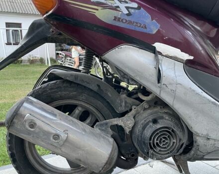 Хонда Інша, об'ємом двигуна 49 л та пробігом 0 тис. км за 109 $, фото 6 на Automoto.ua
