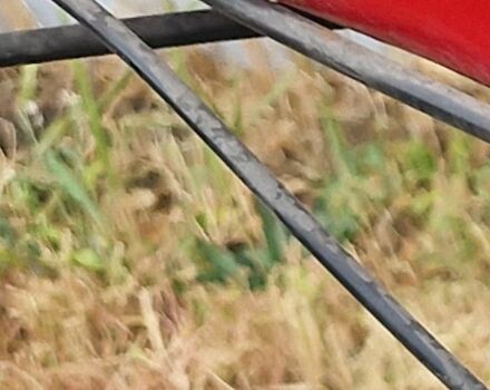 Хонда Другая, объемом двигателя 0 л и пробегом 0 тыс. км за 650 $, фото 6 на Automoto.ua