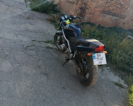 Хонда Інша, об'ємом двигуна 0.4 л та пробігом 0 тис. км за 1950 $, фото 6 на Automoto.ua