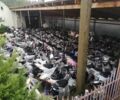 Хонда Другая, объемом двигателя 50 л и пробегом 0 тыс. км за 280 $, фото 4 на Automoto.ua