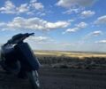 Хонда Інша, об'ємом двигуна 65 л та пробігом 0 тис. км за 8000 $, фото 3 на Automoto.ua
