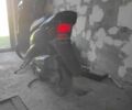 Хонда Другая, объемом двигателя 0 л и пробегом 0 тыс. км за 19000 $, фото 2 на Automoto.ua