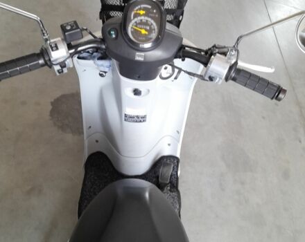 Хонда Інша, об'ємом двигуна 50 л та пробігом 0 тис. км за 1150 $, фото 3 на Automoto.ua