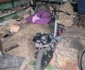 Хонда Другая, объемом двигателя 65 л и пробегом 0 тыс. км за 218 $, фото 3 на Automoto.ua