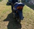 Хонда Інша, об'ємом двигуна 49 л та пробігом 0 тис. км за 182 $, фото 2 на Automoto.ua