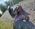Хонда Другая, объемом двигателя 65 л и пробегом 0 тыс. км за 363 $, фото 1 на Automoto.ua