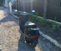Хонда Інша, об'ємом двигуна 90 л та пробігом 0 тис. км за 20000 $, фото 1 на Automoto.ua